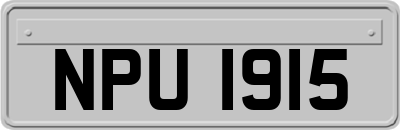 NPU1915