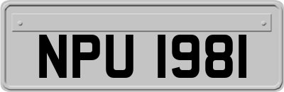 NPU1981