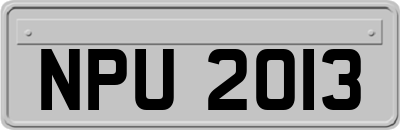 NPU2013