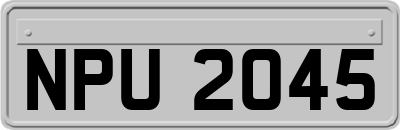 NPU2045