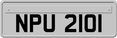 NPU2101