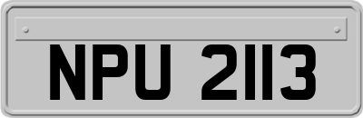 NPU2113