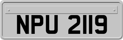 NPU2119