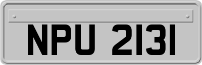 NPU2131