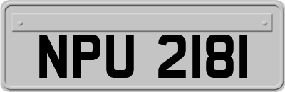 NPU2181