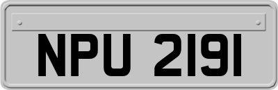 NPU2191