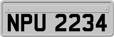 NPU2234