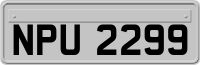 NPU2299