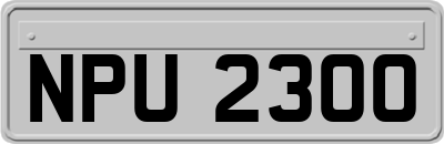 NPU2300