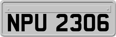 NPU2306
