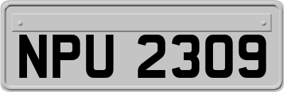 NPU2309