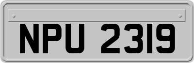 NPU2319
