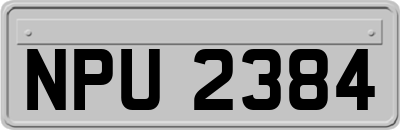 NPU2384