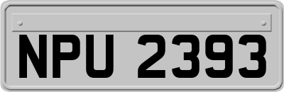 NPU2393