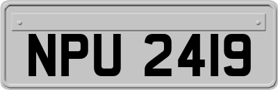 NPU2419
