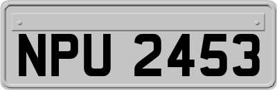 NPU2453