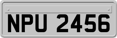 NPU2456