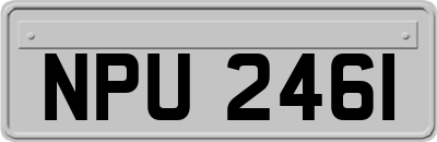 NPU2461