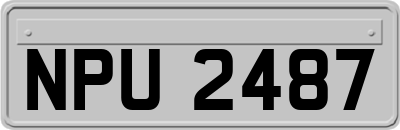 NPU2487