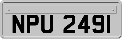NPU2491