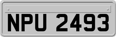 NPU2493