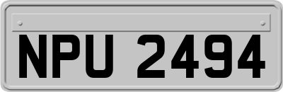 NPU2494