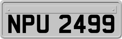 NPU2499
