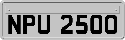 NPU2500