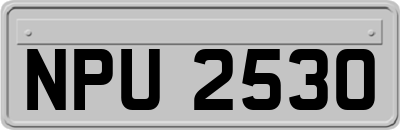 NPU2530