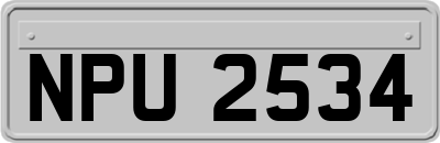 NPU2534