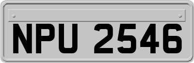NPU2546