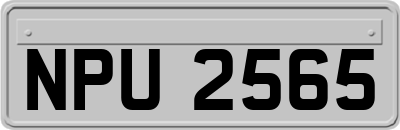 NPU2565