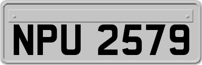 NPU2579