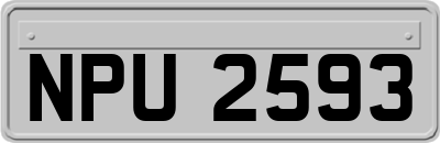 NPU2593