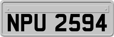 NPU2594
