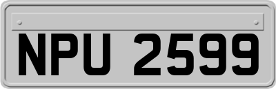 NPU2599
