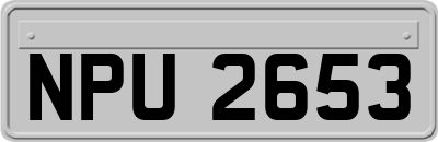 NPU2653
