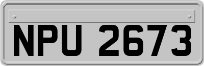 NPU2673