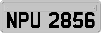 NPU2856