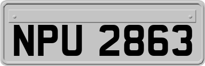 NPU2863