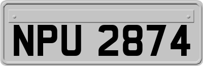 NPU2874