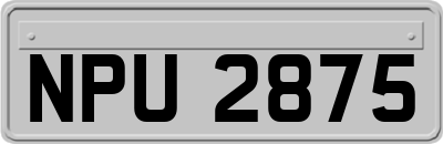 NPU2875