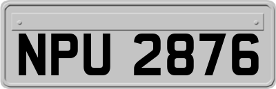 NPU2876