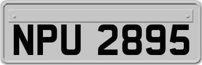 NPU2895