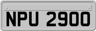 NPU2900