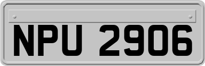 NPU2906