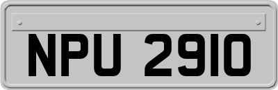 NPU2910