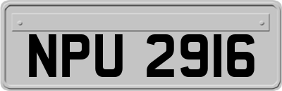 NPU2916