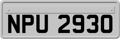 NPU2930