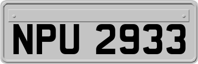 NPU2933